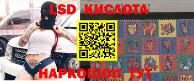 шишки Будённовск