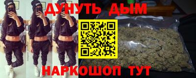 шишки Будённовск