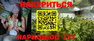 шишки Будённовск