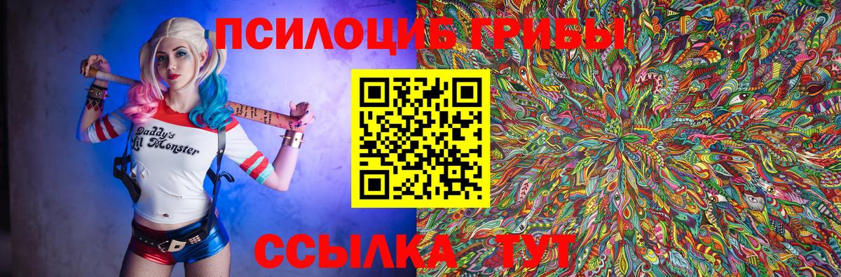 купить наркоту  Псилоцибиновые грибы Psilocybine cubensis  Вход с VPN  Петрозаводск 
