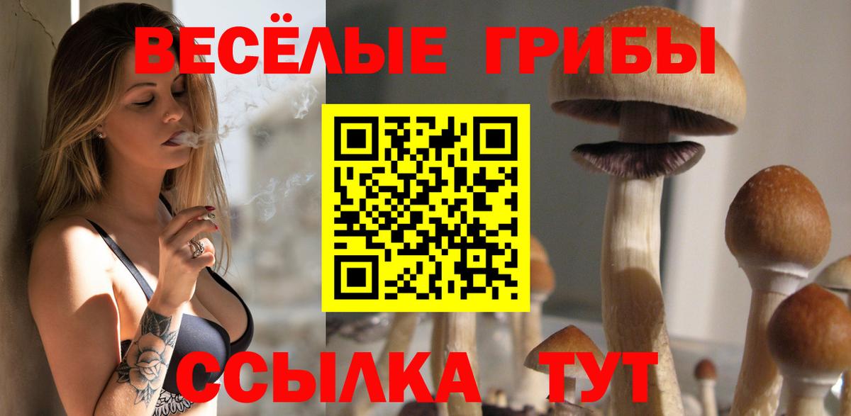 Галлюциногенные грибы GOLDEN TEACHER Петрозаводск